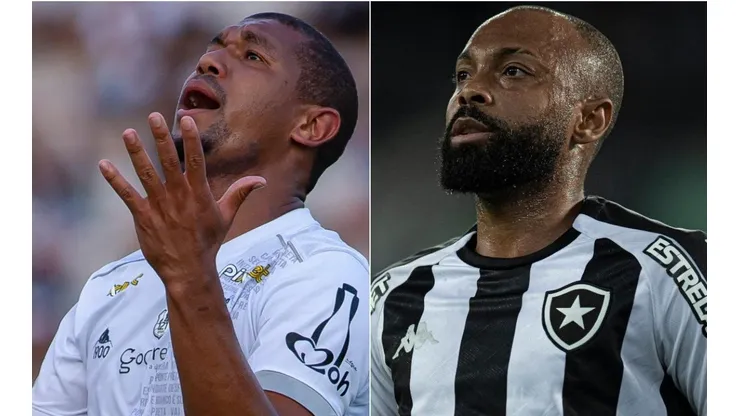 Ponte Preta x Botafogo: como assistir AO VIVO esse duelo do Brasileirão Série B. (Foto: Diogo Reis/Jorge Rodrigues/AGIF)