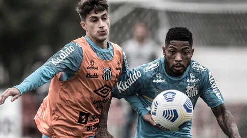 Foto: Ivan Storti/Santos FC