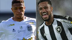 Ponte Preta x Botafogo: saiba onde assistir essa partida da Série B do Brasileirão. (Foto: Jorge Rodrigues/AGIF