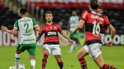 Com retorno de zagueiro, Flamengo está escalado para enfrentar a Chapecoense, fora de casa. (Foto: Thiago Ribeiro/AGIF)
