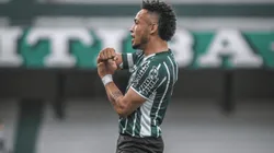Foto: Divulgação/Coritiba - Rafinha pode ser uma alternativa de titular contra o Goiás