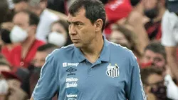 Foto: Robson Mafra/AGIF - Carille precisa recuperar a confiança da equipe