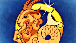 Previsões para hoje, quinta-feira, 4 de novembro de 2021