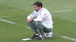 Foto: César Greco/ Palmeiras