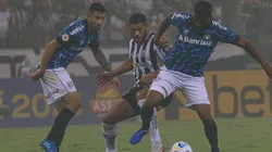 Grêmio perde mais uma no Brasileirão e situação para se livrar do rebaixamento fica cada vez mais difícil. (Foto: Fernando Moreno/AGIF|)