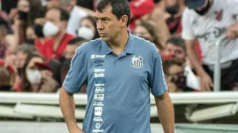 Titulares de volta; veja o provável Santos para o clássico contra o Palmeiras. (Foto: Robson Mafra/AGIF)