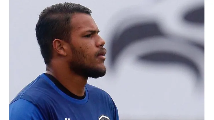 Goleiro já atuou em 31 jogos nesta temporada | Crédito: Reprodução Botafogo