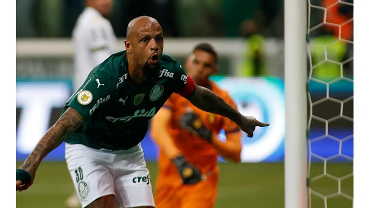 Felipe Melo, do Palmeiras (Foto: Getty Images)