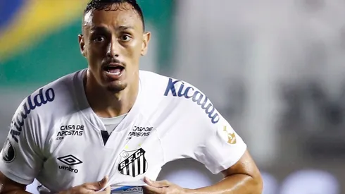 Diego Pituca é querido pela torcida do Santos