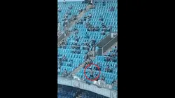 Torcedor do Grêmio imita macaco após derrota contra Palmeiras - Imagem/Vídeo