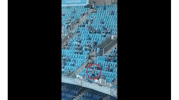 Torcedor do Grêmio imita macaco após derrota contra Palmeiras - Imagem/Vídeo