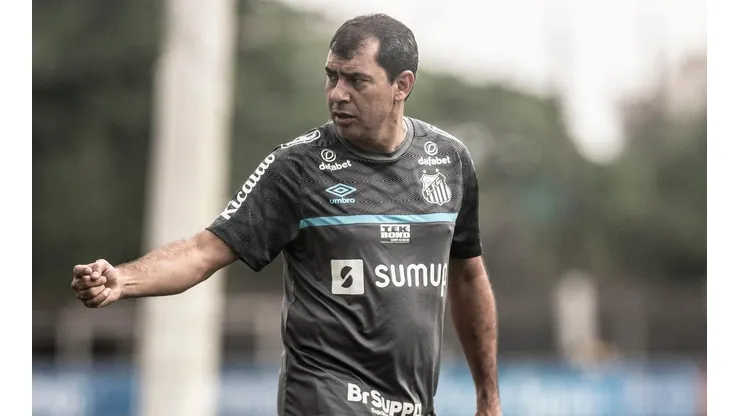 Foto: Ivan Storti/Santos FC