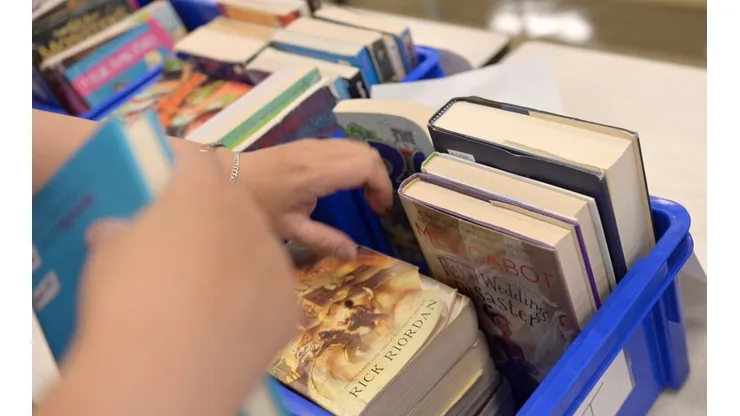 Dia Nacional do Livro é celebrado hoje (29)