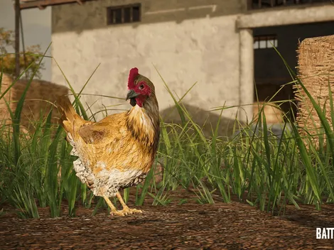 PUBG Battlegrounds: atualização 14.2 traz galinhas no mapa e novas armas