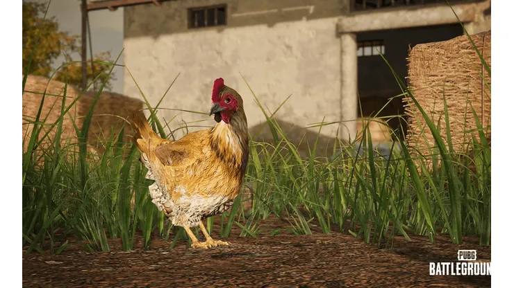 PUBG Battlegrounds: atualização 14.2 traz galinhas no mapa e novas armas