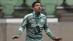 (Foto: Cesar Greco/Palmeiras/Divulgação)