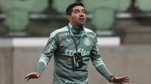 (Foto: Cesar Greco/Palmeiras/Divulgação)