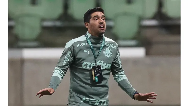 (Foto: Cesar Greco/Palmeiras/Divulgação)