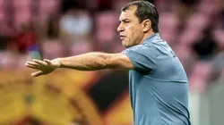 Foto: Ivan Storti/Santos FC