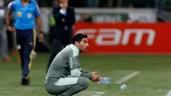 Palmeiras v Sport Recife - Brasileirao 2021