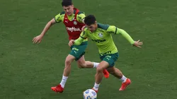 Palmeiras x Sport; prognósticos da partida que os times vivem momentos diferentes (Foto: Cesar Greco/Palmeiras)