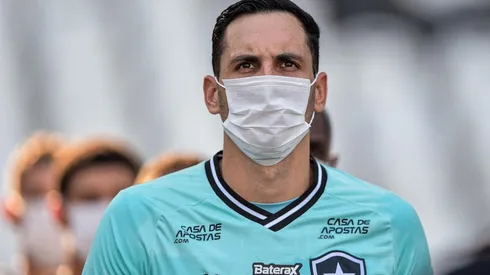 Gatito está clinicamente curado, mas passa processo de recondicionamento físico | Crédito: