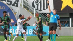 Foto: Fernanda Luz/AGIF