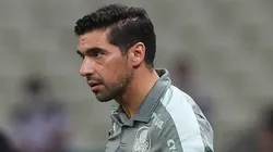 (Foto: Cesar Greco/Palmeiras/Flickr Oficial)