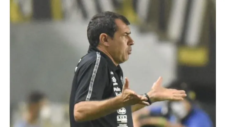 Foto: Ivan Storti/Santos FC