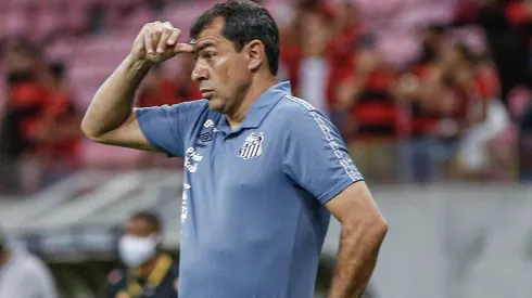 Carille se irrita com departamento médico do Santos. (Foto: Paulo Paiva/AGIF)