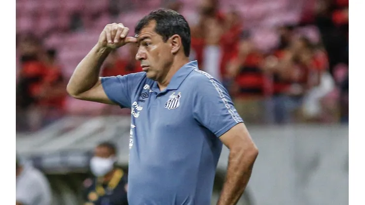Fábio Carille durante partida contra o Sport (Paulo Paiva/AGIF)