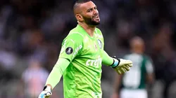 Weverton, goleiro do Palmeiras (Foto: Getty Images)