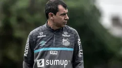 Foto: Ivan Storti/Santos FC