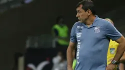 Carille observa o time na lateral do campo (Fernando Moreno/AGIF)