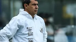 Santos pode depender de rivais na última rodada do Brasileirão