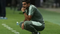 (Foto: Cesar Greco/Palmeiras/Flickr Oficial/Divulgação)