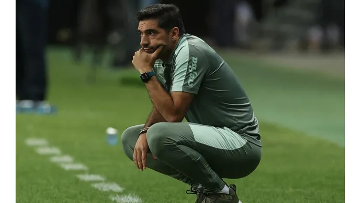 (Foto: Cesar Greco/Palmeiras/Flickr Oficial/Divulgação)