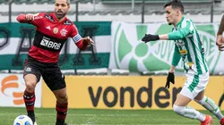 Flamengo x Juventude; prognósticos desse jogo da 26ª rodada (Foto: Alexandre Vidal / Flamengo)
