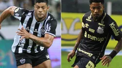 Atlético-MG x Santos: data, hora e canal para assistir essa partida do Brasileirão. (Foto: Fernanda Luz/AGIF)