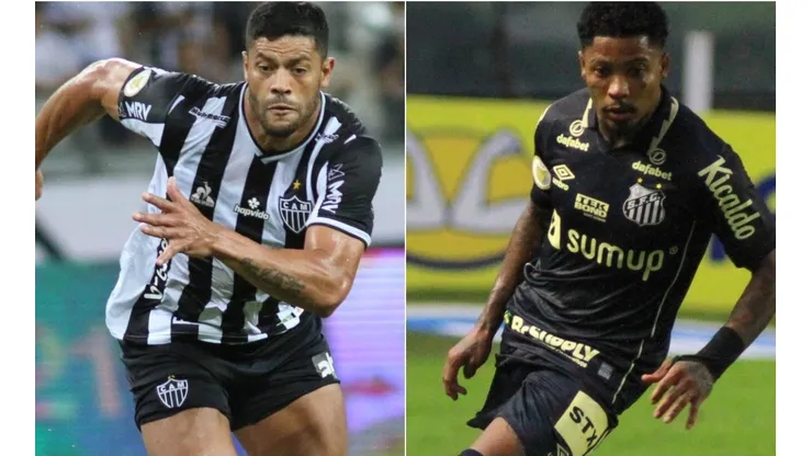 Atlético-MG x Santos: data, hora e canal para assistir essa partida do Brasileirão. (Foto: Fernanda Luz/AGIF)