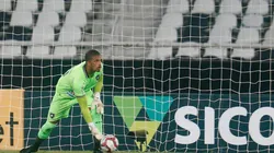 Liberado para assistir ao nascimento da filha no último jogo, Diogo Loureiro deve votlar a meta do Botafogo (Foto: Vitor Silva/Botafogo)