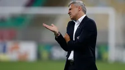 Crespo fala sobre risco do São Paulo ser rebaixado: "Condições de se salvar tranquilamente"