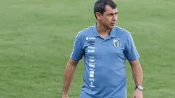 Fabio Carille orienta a equipe na beirada do campo em partida contra o Juventude. Em casa, Santos contará com a torcida contra o Grêmio (Luiz Erbes/AGIF)
