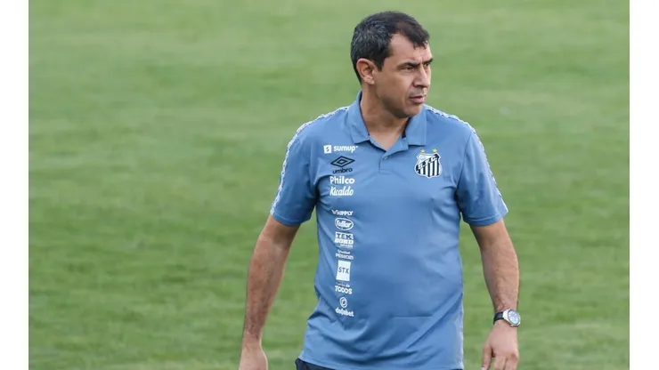 Fabio Carille orienta a equipe na beirada do campo em partida contra o Juventude. Em casa, Santos contará com a torcida contra o Grêmio (Luiz Erbes/AGIF)