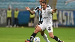 Santos x Grêmio; prognósticos desta partida da 25ª rodada (Foto: Ivan Storti/Santos FC)