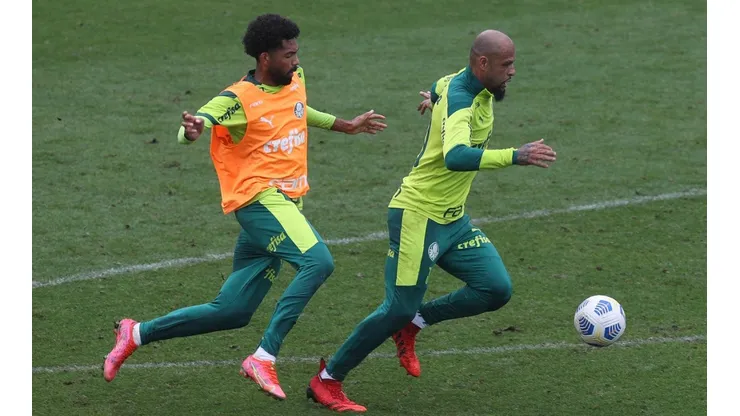Cesar Greco/Palmeiras