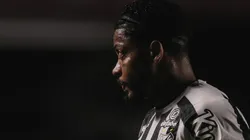 Santos terá presença da torcida nos estádios para apoiar o time nessa reta final de Brasileirão (Ettore Chiereguini/AGIF)