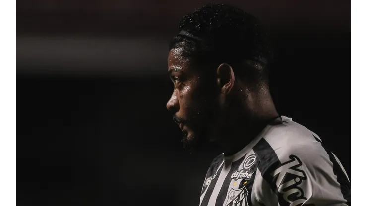 Santos terá presença da torcida nos estádios para apoiar o time nessa reta final de Brasileirão (Ettore Chiereguini/AGIF)