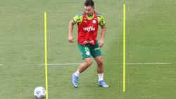 Cesar Greco/Palmeiras