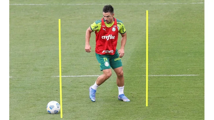 Cesar Greco/Palmeiras